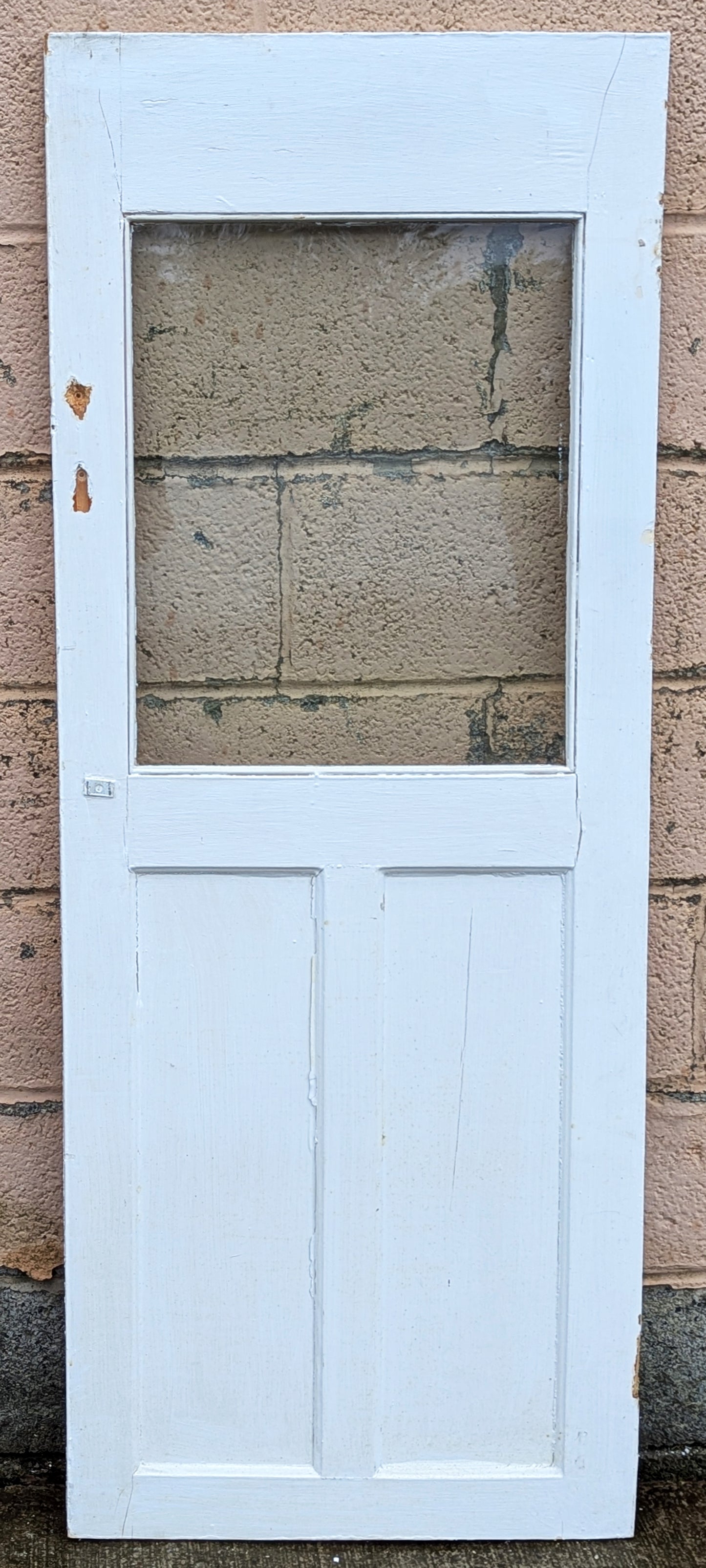 21.5"x56.5"x1" Antique Vintage Old Salvaged Reclaimed SOLID Wood Wooden Cabinet Cupboard Pantry Wooden Door 2 Panels Window Glass