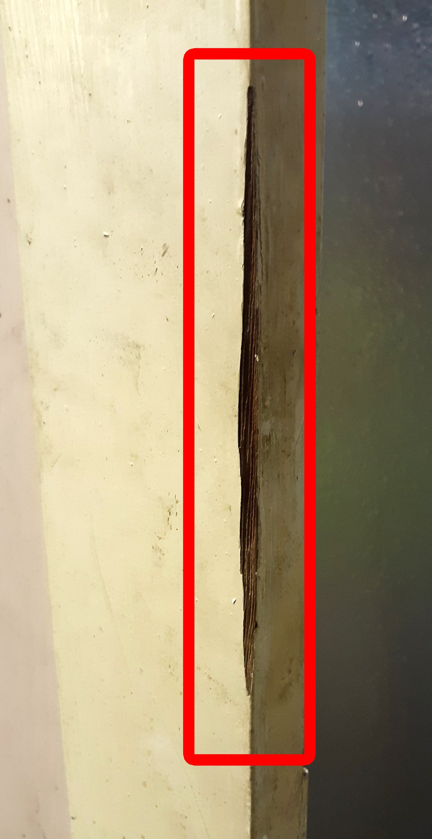 29.5"x80" Antique Vintage Old Reclaimed Salvaged Interior SOLID Wood Wooden Door 2 Panels