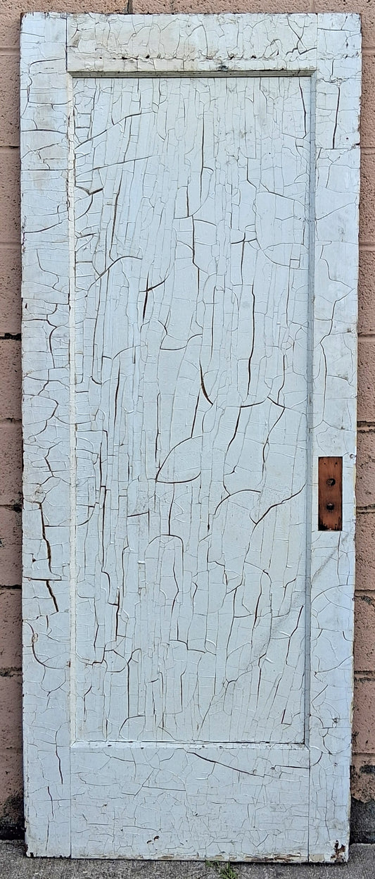 30"x78" Antique Vintage Old Salvaged Reclaimed SOLID Birch Maple Wood Wooden Interior Door Painted Stained Single Flat Panel