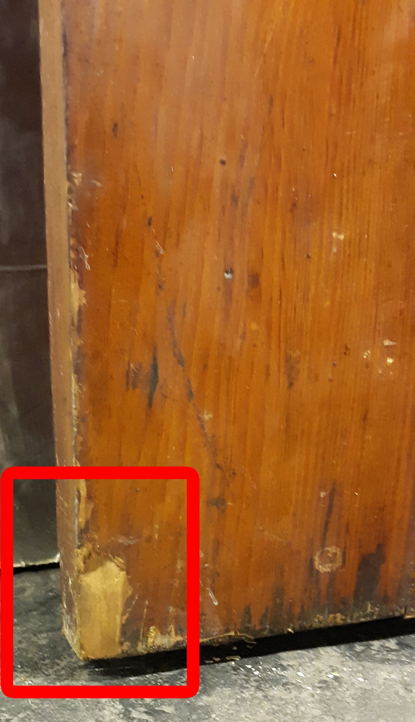 28x78" Antique Vintage Old Reclaimed Salvaged Victorian Interior SOLID Wood Wooden Pantry Door 5 Panels
