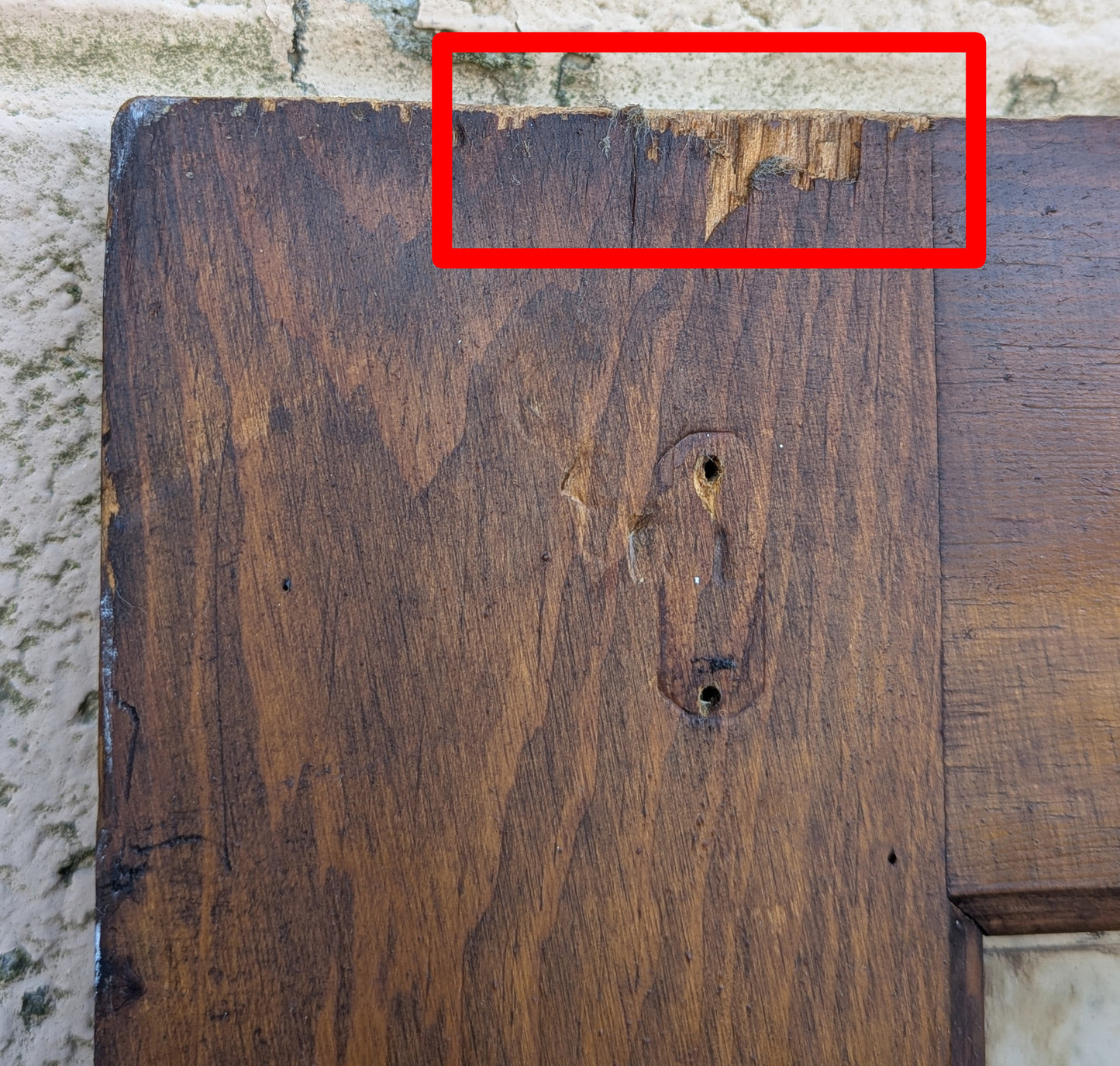 29"x76" Antique Vintage Old Reclaimed Salvaged Wood Wooden Exterior French Door Window Glass Lite Pane