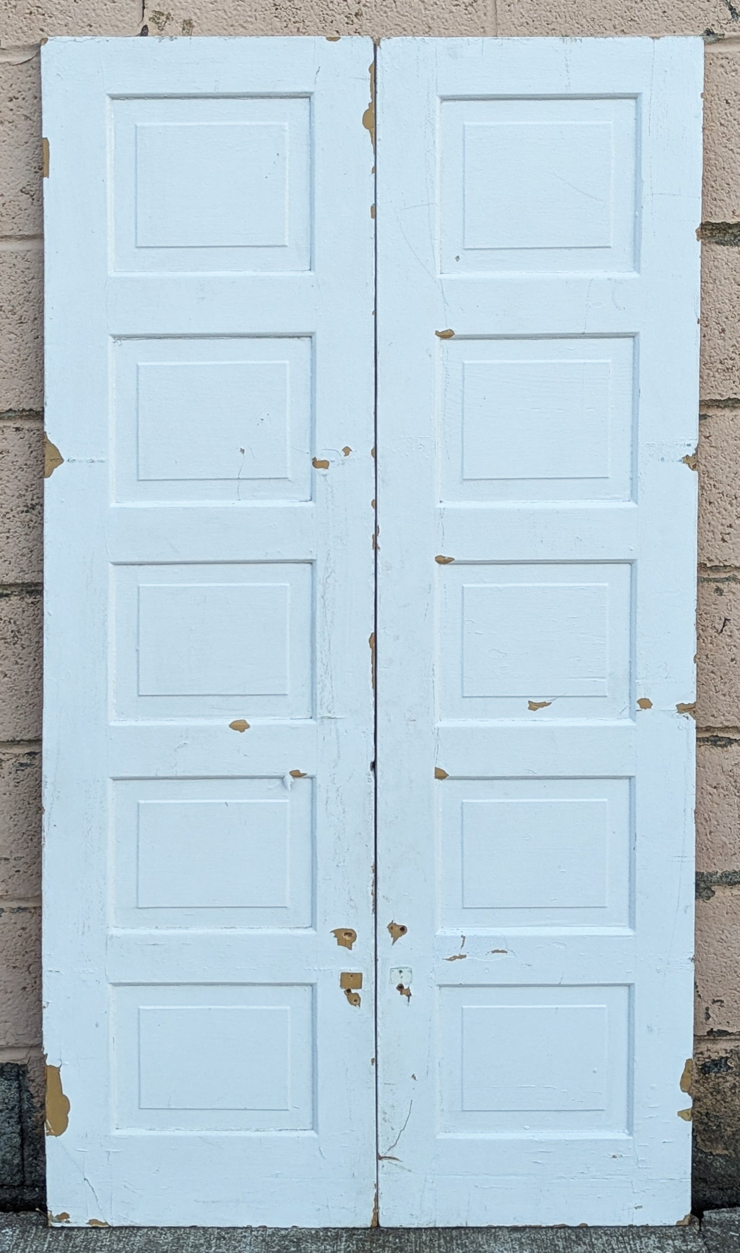 2 Pairs Available 30"x59" Antique Vintage Old Reclaimed Salvaged SOLID Wood Wooden Cabinet Pantry Door 5 Panels