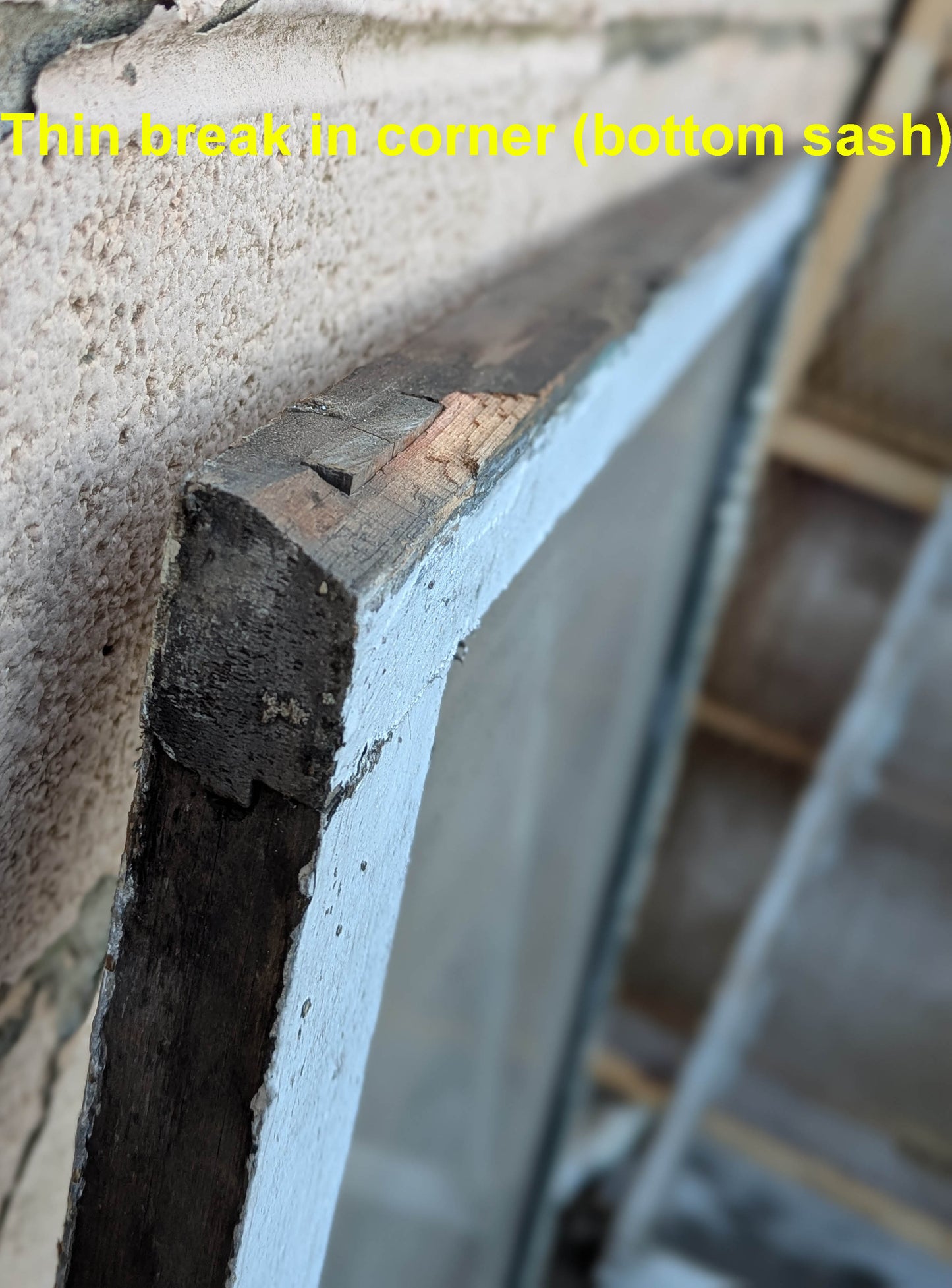 2 available Pair of 48"x66" Antique Vintage Old Reclaimed Salvaged SOLID Wood Wooden Double Hung Sash Windows Wavy Glass Lites