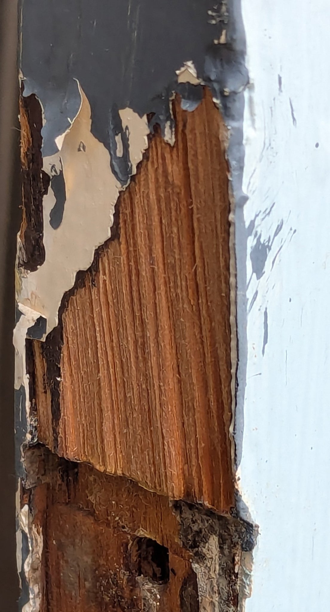 32"x79" Antique Vintage Old Reclaimed Salvaged Victorian SOLID Wood Wooden Interior Door 4 Panels