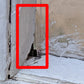 32"x78"x1.75" Antique Vintage Old Reclaimed Salvaged SOLID Wood Wooden Exterior Entry Mission Style Door 9 Windows Glass