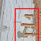 32"x79" Antique Vintage Old Reclaimed Salvaged SOLID Wood Wooden Exterior Entry Front Back Side Door Single Window Wavy Glass