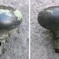Single Antique Vintage Old "City of Chicago Board of Education" SOLID Brass Doorknob Door Knob Handle