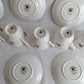 Vintage Set of 6 Windsor Rose Footed Gold Trim Teacup Saucer Exclusive Hammersley Fine China Princess House Collection Made in England
