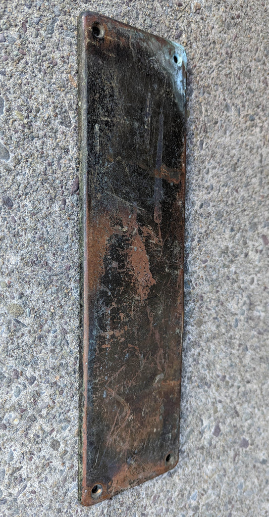 3"x10" Vintage Antique Old Salvaged Reclaimed Solid Bronze Brass Patina Swinging Door Push Plate