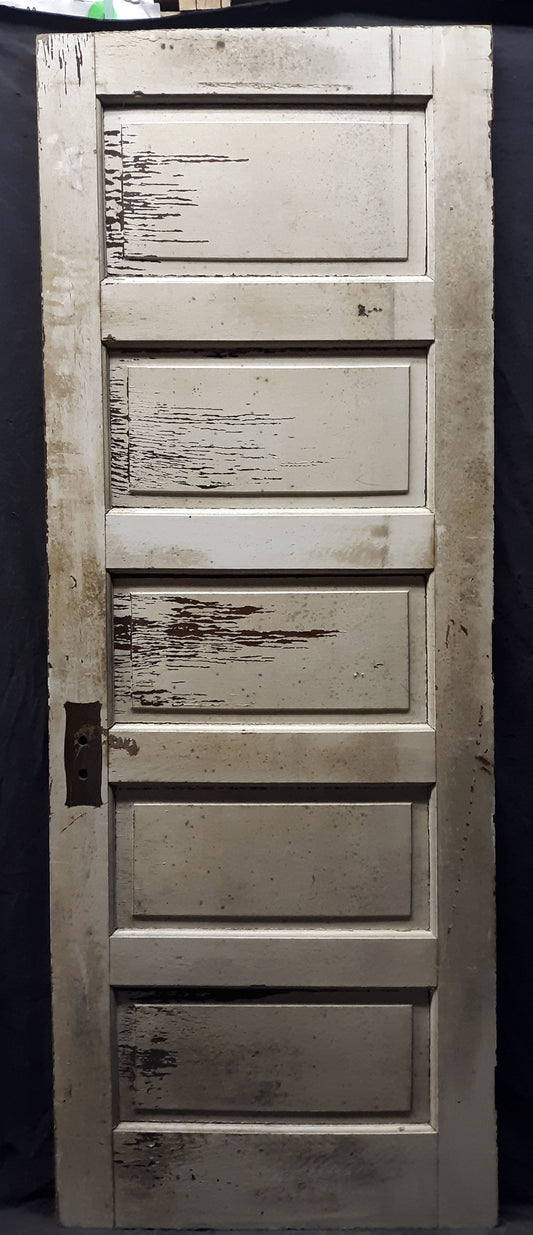 29.5"x83.5" Antique Vintage Old Reclaimed Salvaged SOLID Wood Wooden Interior Door Panels