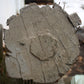 92" Antique Vintage Old Reclaimed Salvaged SOLID Wood Load Bearing Structural Porch Column Pillar Post