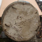 7.5" Antique Vintage Old Reclaimed Salvaged SOLID Wood Wooden Load Bearing Structural Porch Column Post