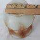 White Opaque Glass Lampshade Embossed Design Hand Painted Brown 2.25” Fitter